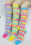 rainbow color knee high socks