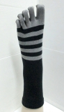 Crew 5 toe simply striped sock